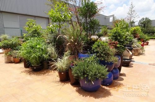景觀花盆廠家盤點